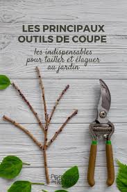 epingle sur conseils et astuces jardins
