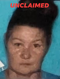 Legal First Name: Donna Middle Name: Jean Legal Last Name: Singleton  Biological Sex: Female Hair Color: Brown Eye Color: Hazel Race/Ethnicity:  White/Caucasian Date Body Found: March 24, 2025 Location Found: Knoxville,  Tennessee