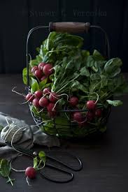 Radish Recette Bio Fruits Et Legumes Recettes Crues