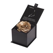 Venus et fleur classic collection. Live Flowers That Last All Year And Don T Require Watering Forever Rose Brands