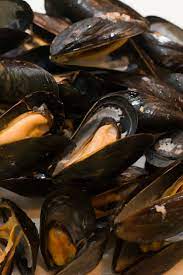 How To Tell If Mussels Are Bad 4 Signs That Mussels Aren T Safe To Eat