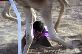 This video highlights burney's work to end the use of slave children as camel jockeys in races staged for middle eastern royalty. Desert Riders Filmblanc Inc Film Productionfilmblanc Inc Film Production