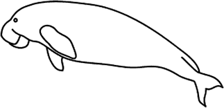 The city is also the main gateway to many of the state's tourist destinations, including kampung cina, pasar besar kedai payang, terengganu state. Development Of Dugongbot Underwater Drones Using Open Source Robotic Platform Springerlink