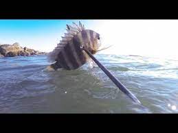 Wb Freedive Jetty Spearfishing Break Science Breath Of Space Feat Sonya Kitchell Youtube