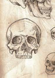 Pin On Skeletons