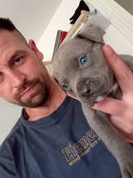 puppies or small dogs free