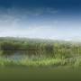 Profile Picture of How Healthy is Trindle Spring Run? - StormwaterPAon Google