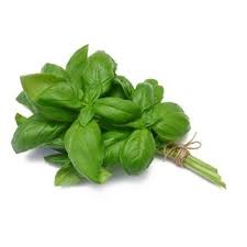 The leaves are similar to basil leaves, but tend to be narrower with slightly serrated edges. Basil Leaf Herbs 50g Pkt Buy Sell Online Fresh Herbs Spices With Cheap Price Lazada