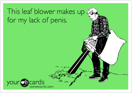 Leaf blower not gift for wife. The Obsessive Leaf Blower And How He Makes My Ears Bleed Style And A Story