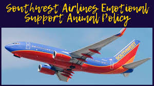 While some airlines allow dogs onboard if specific size and. Southwest Airlines Pet Emotional Support Animal Policy
