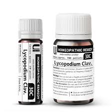 Image result for Lycopodium clavatum