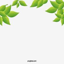 Daun png and daun transparent clipart free download. Gambar Hijau Baik Baik Saja Daun Vektor Hijau Hijau Baik Png Dan Psd Untuk Muat Turun Percuma Hijau Daun Lukisan