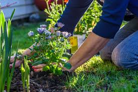 Check spelling or type a new query. Mulch 101 Planning Landscaping And Maintenance Legends Landscape Supply Inc