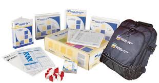 Image result for Wechsler Intelligence Scale