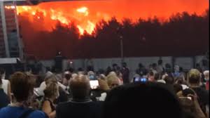 Lor li se alătură patru ofiţeri români, însărcinaţi cu dublă responsabilitate: Myzj4pdbyzvtbm