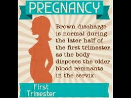 The term spotting describes light vaginal bleeding. Brown Discharge Early Pregnancy Brown Discharge During Pregnancy Should I See A Doctor