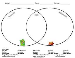We did not find results for: Claim Evidence Reasoning To Compare Plant And Animal Cells Tpt