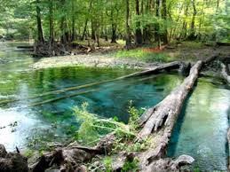 If you are driving at high speed on a highway and are looking for a rest area, a blue sign in the distance should catch your attention. The River Is A Beautiful Color That Comes From Springs Like This That Flow Into It Picture Of Hinson Conservation And Recreation Area Marianna Tripadvisor