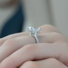 Image result for Pavetta comostyla