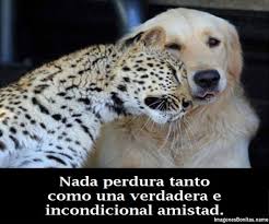 Resultado de imagen para imagenes hermosas para facebook