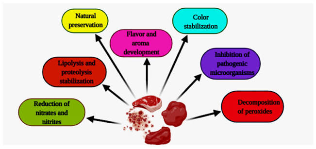 Microbial Fermentation and Its Role in Quality Improvement of Fermented Foods