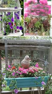 24 Creative Garden Container Ideas With Pictures Birdcage Planter Garden Containers Container Gardening