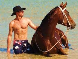 The double dan horsemanship team has a tough job keeping horses clean, with dan james road to the horse champion 2012 double dan horsemanship www.doubledanhorsemanship.com find us. Dan James Double Dan Horsemanship Sizzle Horsemanship Horses Horseman