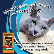 Janganlupa tekan tombol like prank text, pap tt, pap tt twitter, pap tt no sensor, pap tt sapi, pap tt smp, pap tt kucing, pap tt hot, pap tt besar, pap tt gede, pap tt pacar. Mengenal Toxoplasma Pada Kucing Pencegahannya Raja Petshop
