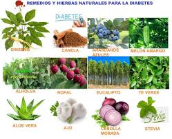 We would like to show you a description here but the site won't allow us. Hierbas Naturales Para La Diabetes Diabeteswalls