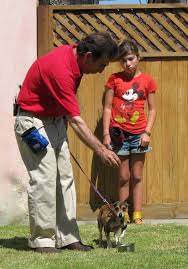 In 1994, key and goettel returned to vancouver with the master tapes, but ogre remained in los angeles and quit skinny puppy in june 1995. Day School For Dogs In Los Angeles Isaidsit Com