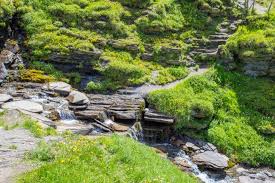 Bauchlauf Wie Viel Wasser In 2020 Bachlauf Wasserlauf Wasser