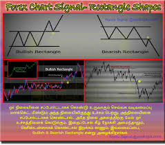 Forex Chart Viewer