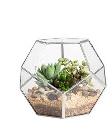 One benefit of making terrariums as your centerpieces is that they can be made way in advance. Amazon Com Ncyp Silver Clear Glass Dodecahedron Geometric Terrarium Globe Planter Container Indoor Fairy Garden Pot Centerpiece For Succulent Air Plants Wedding Coffee Table No Plants Garden Outdoor