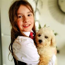 Hi all! I just wanted to introduce myself and share a photo that I took of  my little Jazz with my Granddaughter ❤️