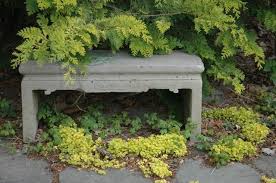 Slideshow 10 Great Groundcovers To Rely Upon Ground Cover Plants Shade Plants Plants