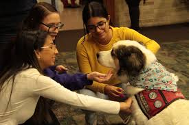 The dog days of spring – FOGHORN NEWS