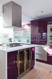 Pin By Aprill Thompson On Purple Haze Teal Licious In 2020 Purple Kitchen Purple Kitchen Cabinets Home Kitchens