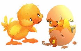 Poussins de Pâques en gif animé-gros gif poussin animé- (avec ...