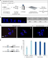 Happy glass game on lagged. Highly Structured Homolog Pairing Reflects Functional Organization Of The Drosophila Genome Nature Communications