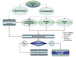 Incorporating Bioavailability Considerations Into The