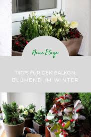 Tipps Balkon Winter Pflanzen Winter Balkon Balkon Pflanzen