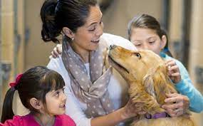 Lll find veterinarian clinics near me online thepets local vet clinics finder for pet owners【vet clinics locator】find vets in your area in the usa by entering zip code dog cat. Wellness Veterinary Clinic 976 American Drive Neenah Tel 920 215 0256