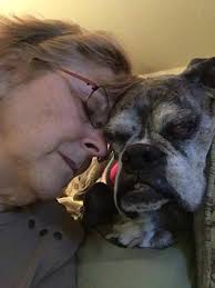 Pet owner grieving loss of dog