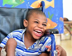 Services for Organisations