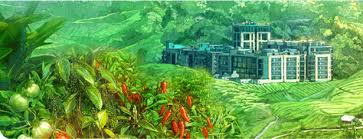 Telur puyuh malaysia, peeled quail egg malaysia, 马来西亚剥壳鹌鹑蛋. Carefood Industries Sdn Bhd