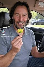 Keanu Reeves (@keanu_981)