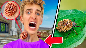 Sigamos apoyando a Esperanza Alba!