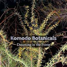 Image result for Dictyophleba