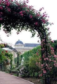la roseraie du jardin des plantes paris jardin des plantes paris paysages du monde parcs