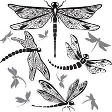 These were wrong believed, dragonfly tattoo designs are for both men and women. Dragonfly Tattoo Free Vector Eps Cdr Ai Svg Vector Illustration Graphic Art